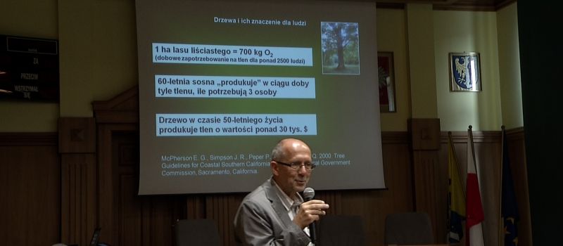 Drzewa i ich znaczenie