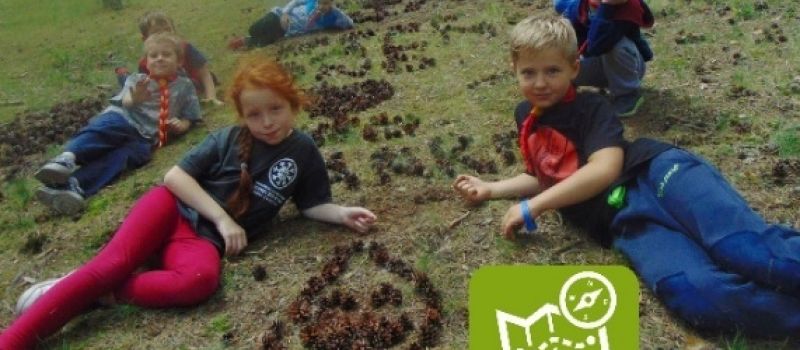 Miniobozy w Kokotku tuż tuż! Zapisy od dziś