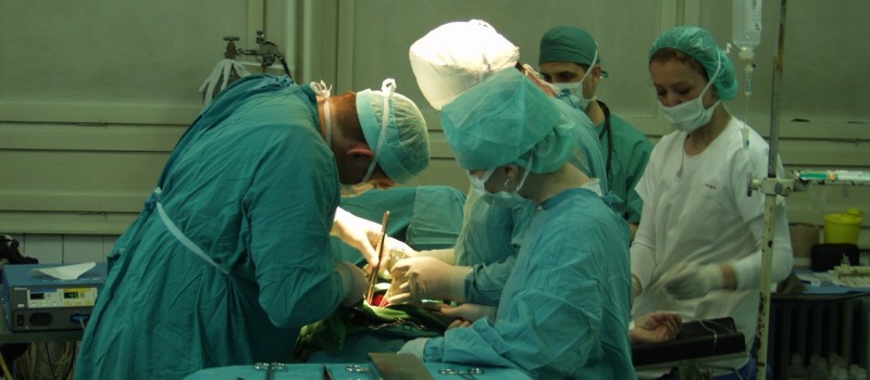 ŚWIATOWY DZIEŃ DONACJI I TRANSPLANTACJI