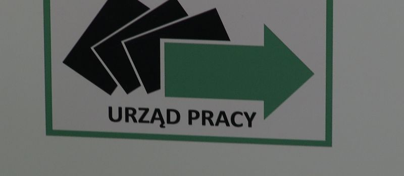 Szukasz pracy?