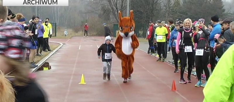 Bieg Wiewiórki. Sezon 2017