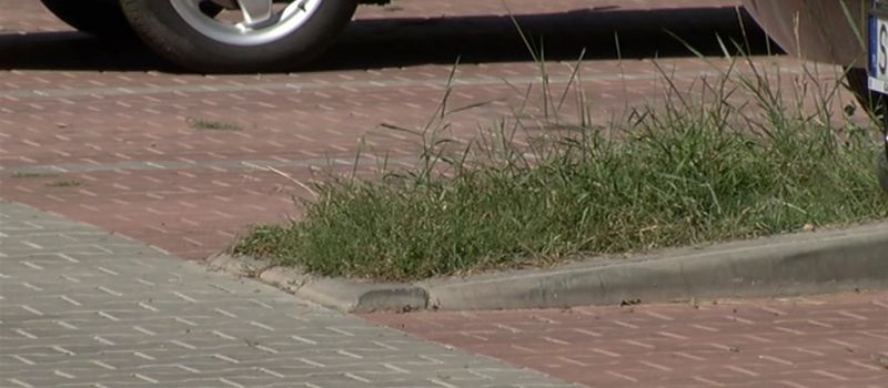 Zielůne wysepki na parkplacach - na co łůne sům?