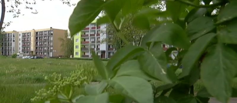Rozbój w Bykowinie z pizzą w tle