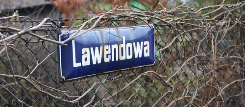 Kanał kanalizacyjny przy ulicy Lawendowej w Radzionkowie po odbiorach