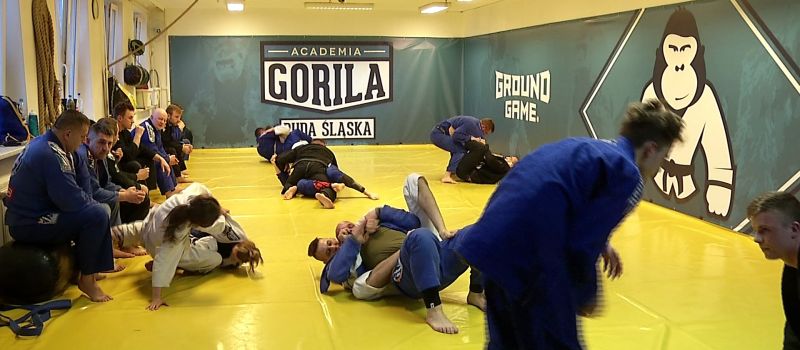 Brazylijskie jujitsu na Halembie!