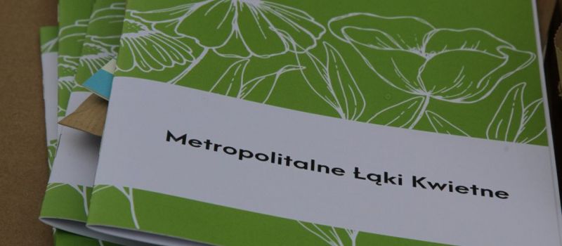Metropolitalne Łąki Kwietne