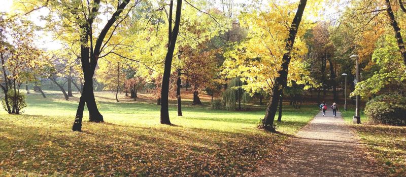 Parki w Nowym Bytomiu przejdą metamorfozę