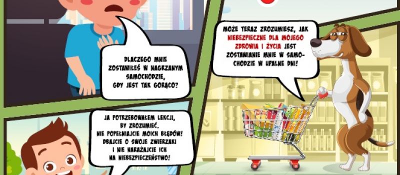 Zamknięty samochód latem staje się śmiertelną pułapką