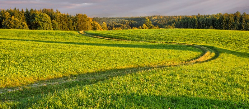 INFRASTRUKTURA I ŚRODOWISKO