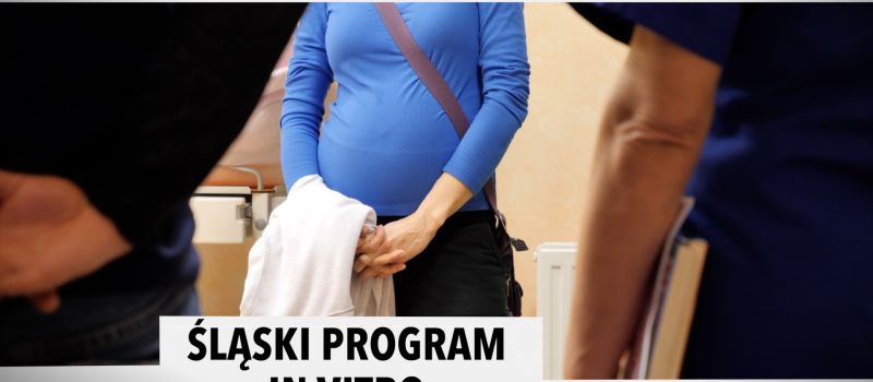 Śląski Temat: Śląski program in vitro coraz bliżej