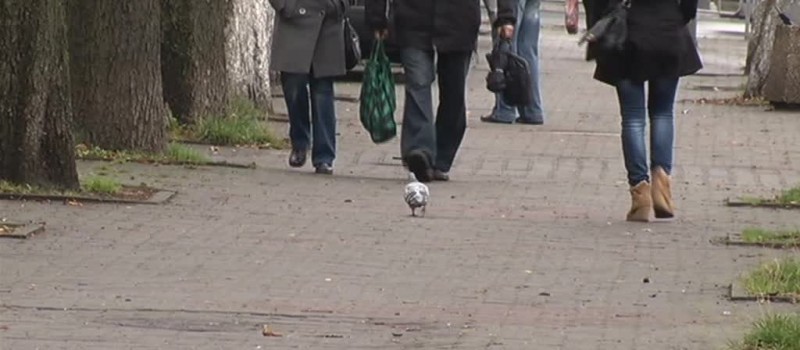 SPOTKAJ SIĘ Z PODRÓŻNIKIEM