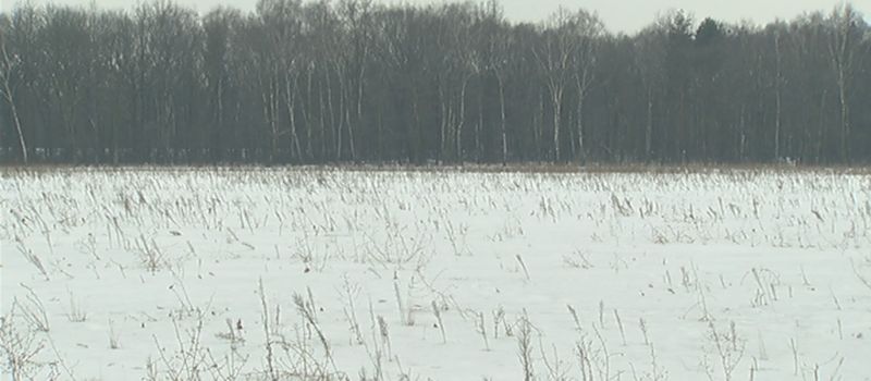 Piyrsze inwestycje na Powstańcach - kej ruszům we Bytůniu?