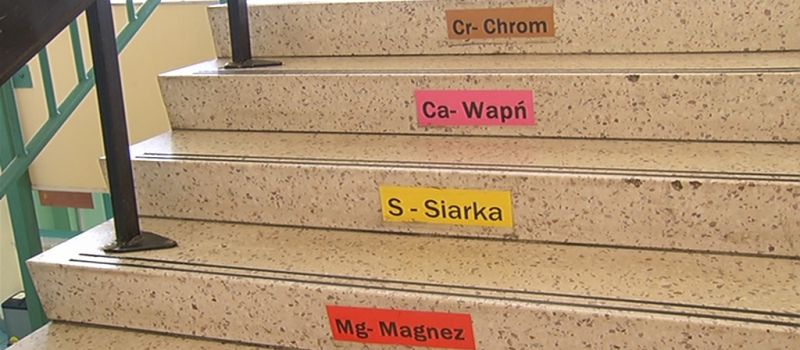 Zwolnieni z Teorii. Nauka, kreatywność i wolontariat