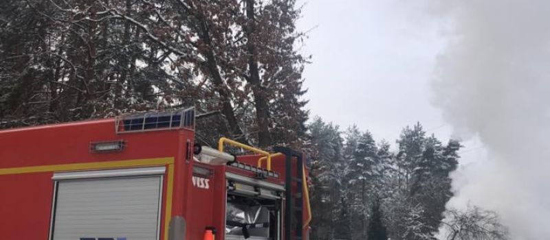 Pożar ogródków działkowych w Rudzie Śląskiej