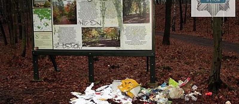 KURIER WYRZUCIŁ LISTY