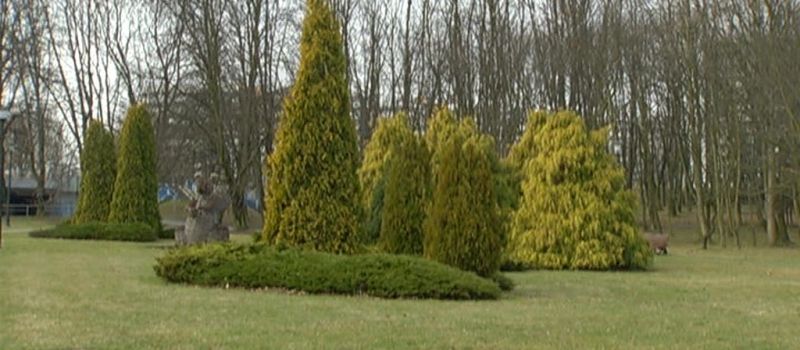 Modernizacja Parku Śląskiego
