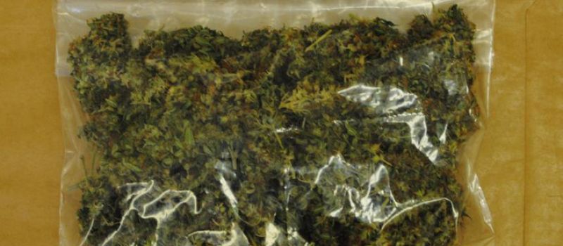 22-latek wpadł z marihuaną w Orzegowie