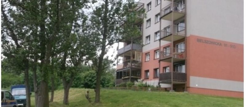 Martwe ptaki na Bielszowickiej