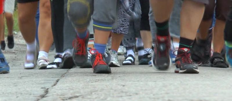 XXXIX Halembska Piesza Pielgrzymka na Jasną Górę - droga powrotna