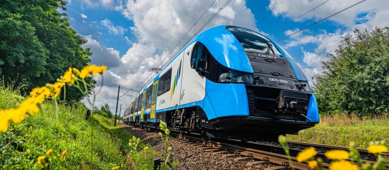 Wszystkie łapki na pokład w Kolejach Śląskich!