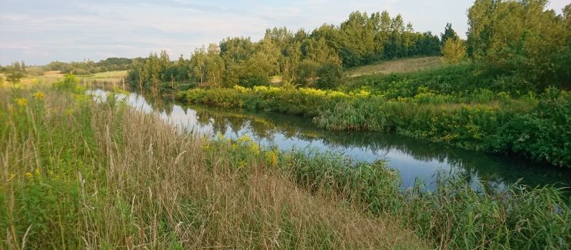 Dolina Kochłówki z użytkiem ekologicznym