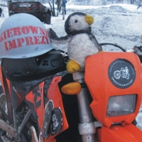 Zimowy Zlot Pingwina w Bytomiu