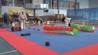 Mikołajkowy Turniej Karate w Radzionkowie